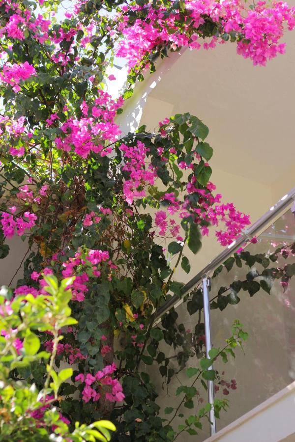 Acelya Otel Bodrum Exterior photo